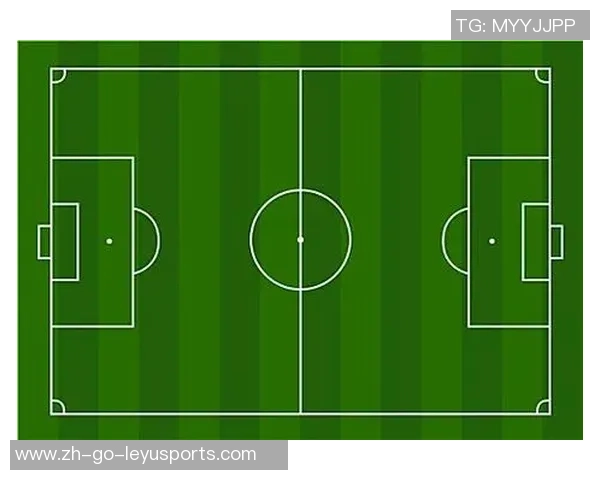 足球发色的奇妙变幻与球场风格的完美结合探讨